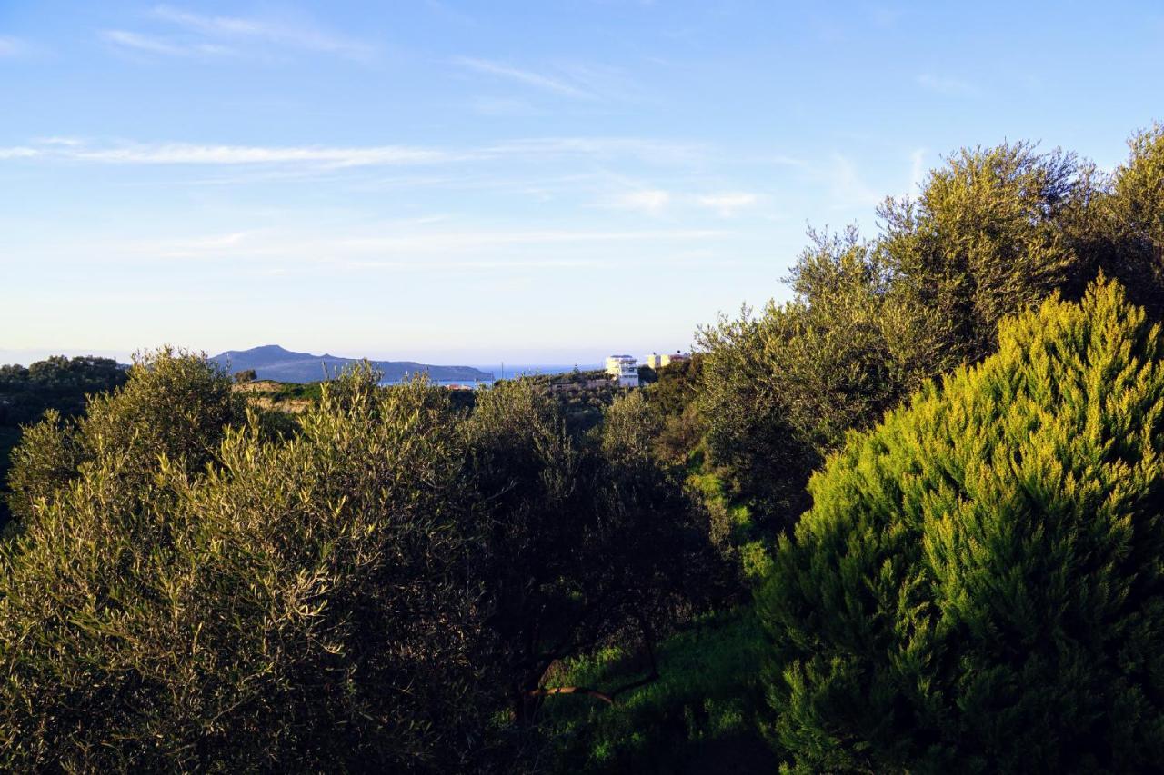 Olive Tree Hillside Apartment Сталос Экстерьер фото